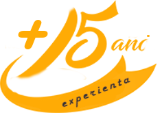 Experiență din 2008